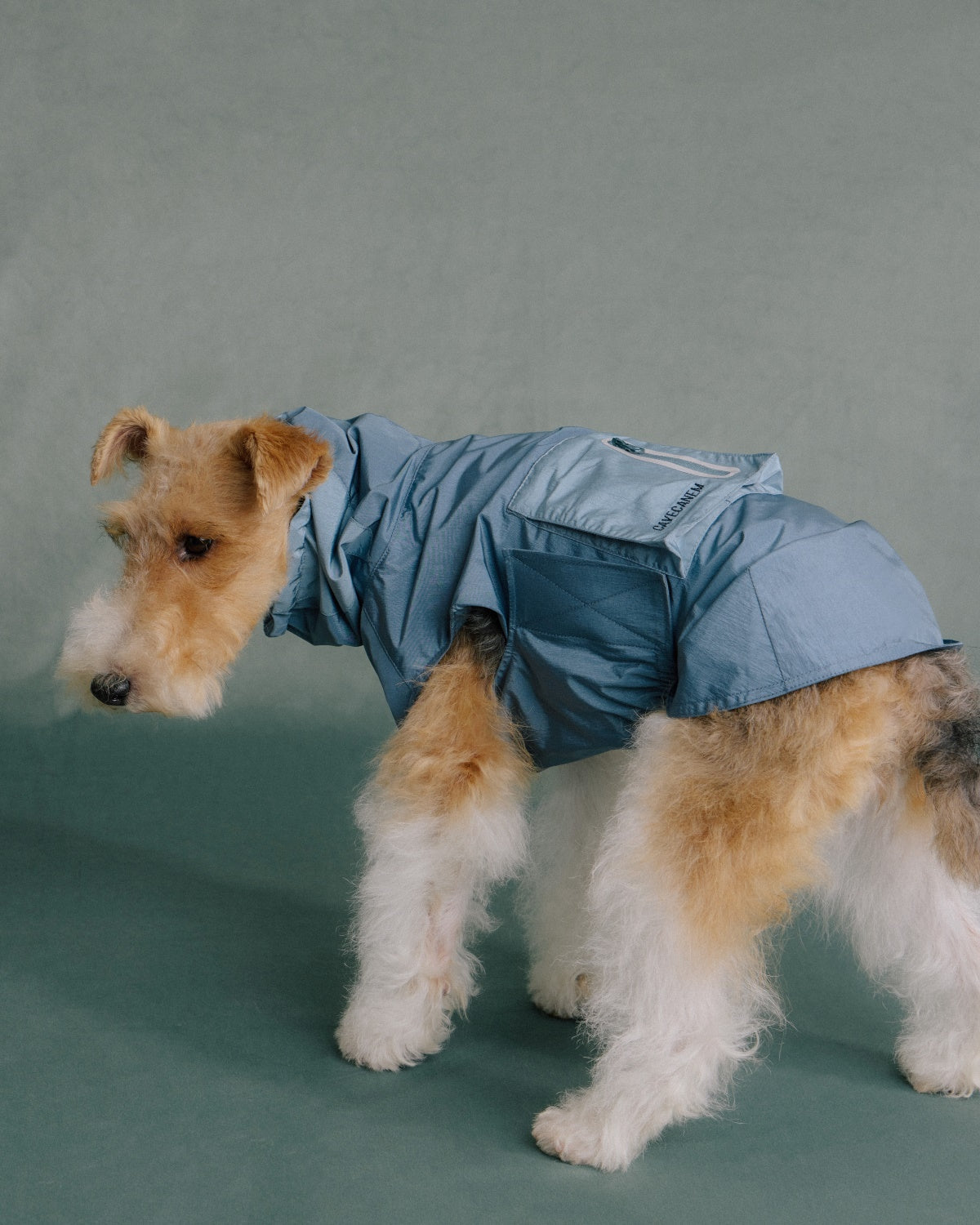 The Ventus | Reflective Waterproof Dog Raincoat | Slate Blue