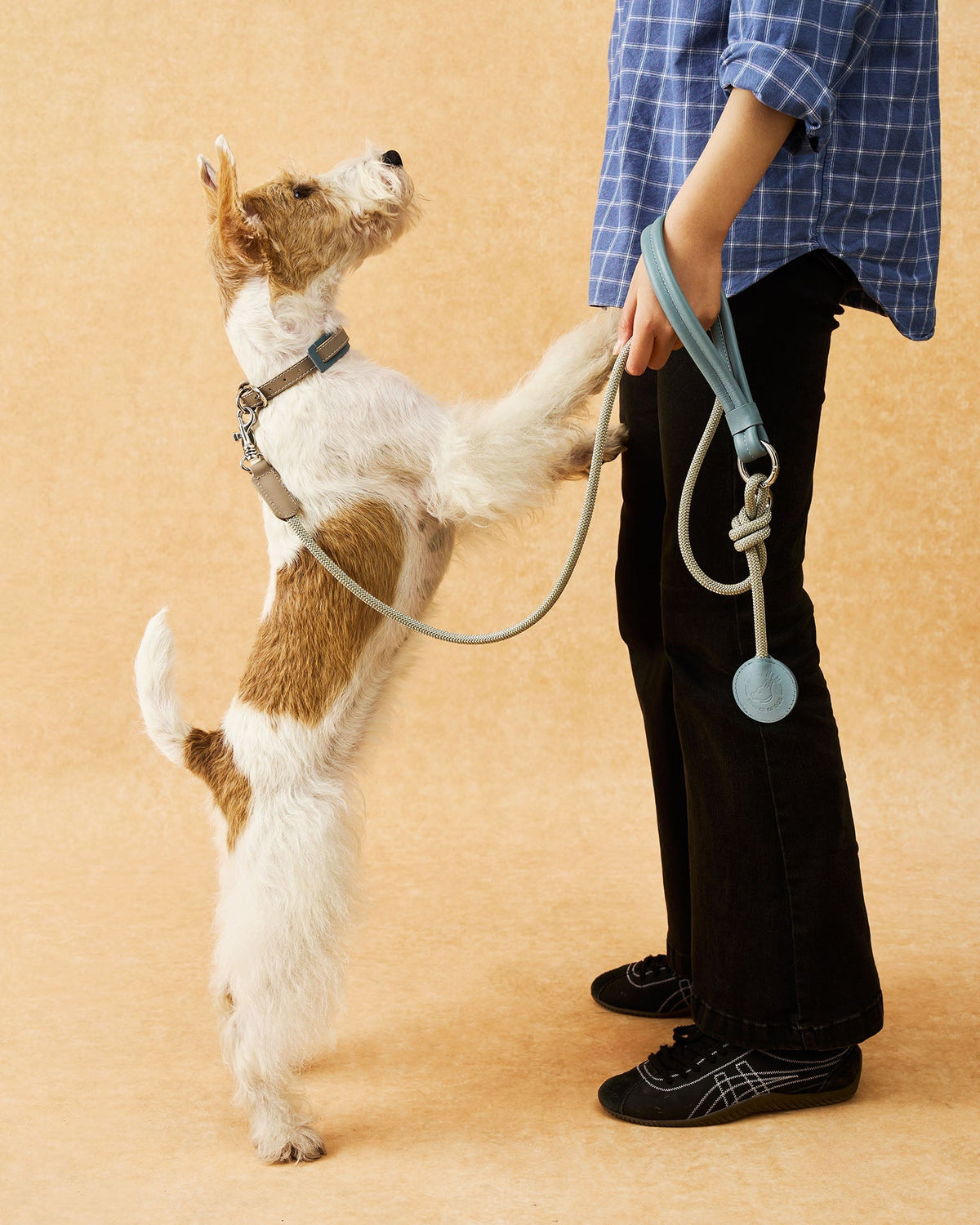 The Ornata Leather Dog Collar | Stormy Teal