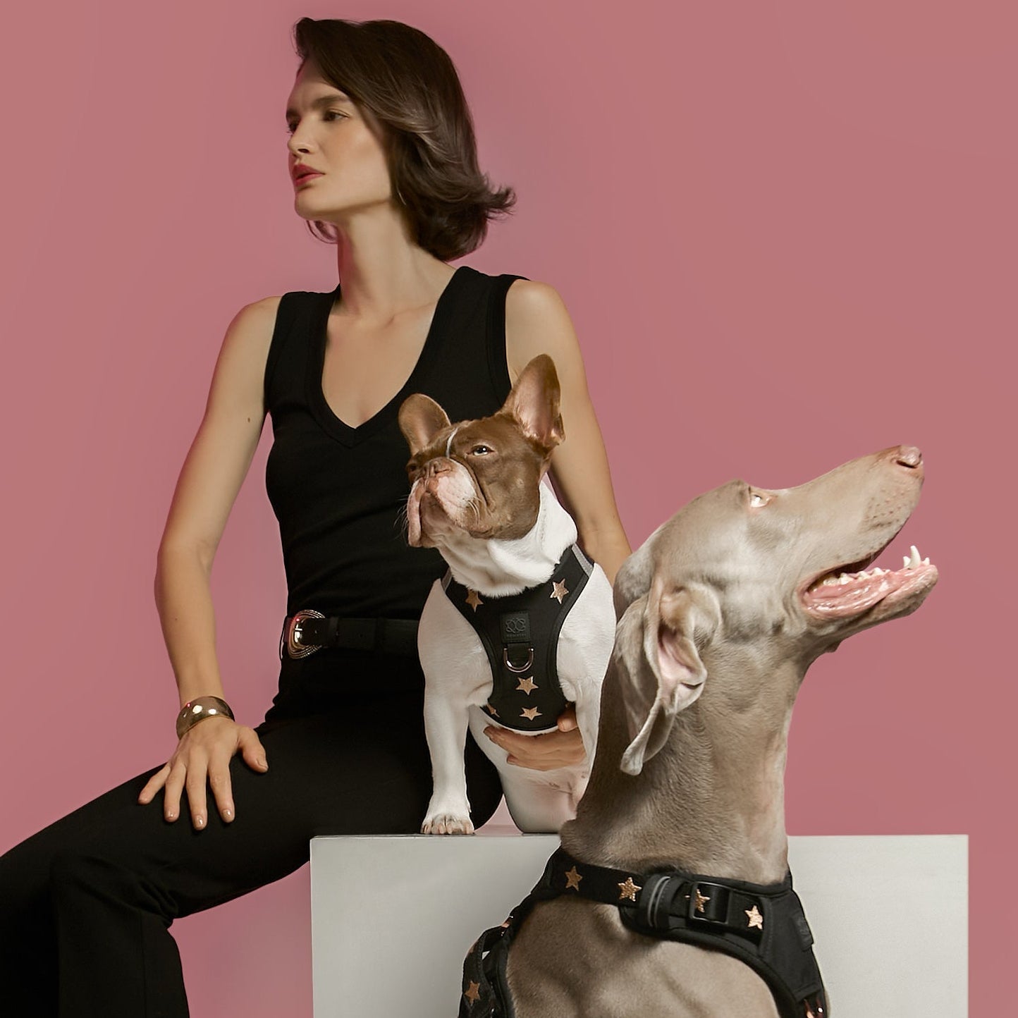 SoHo Dog Walking Set - Rockstar