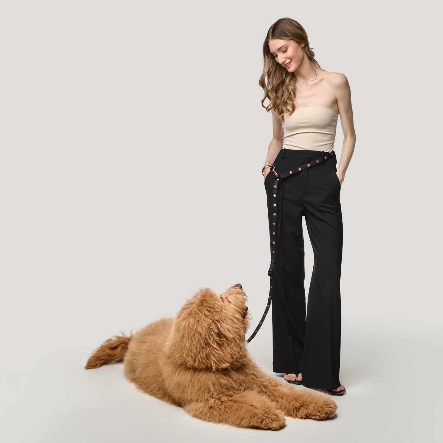 Metro Hands Free Leash - Rockstar