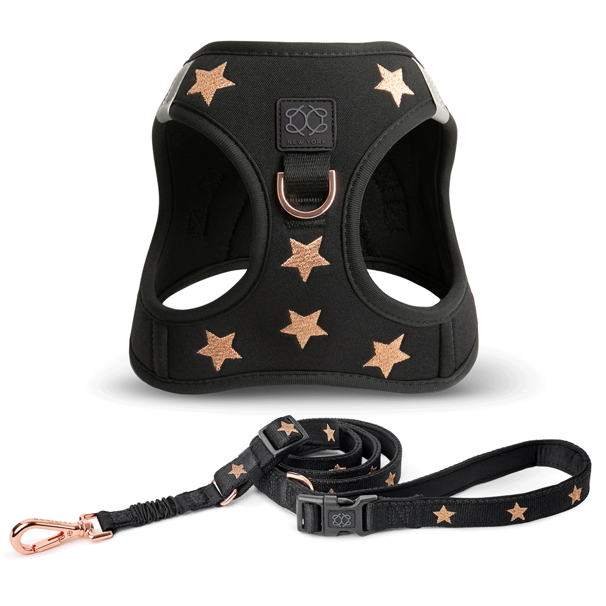 City Leash Set - Rockstar