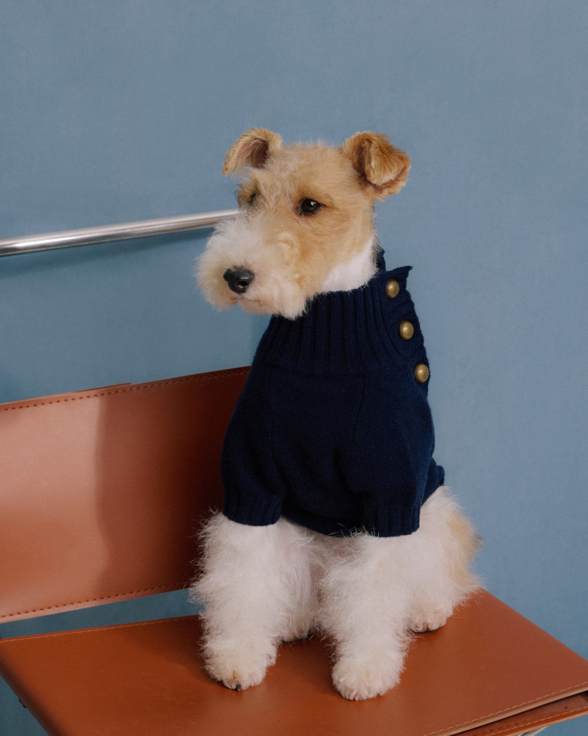 The Lutetia | Merino Wool Dog Sweater | Navy Blue