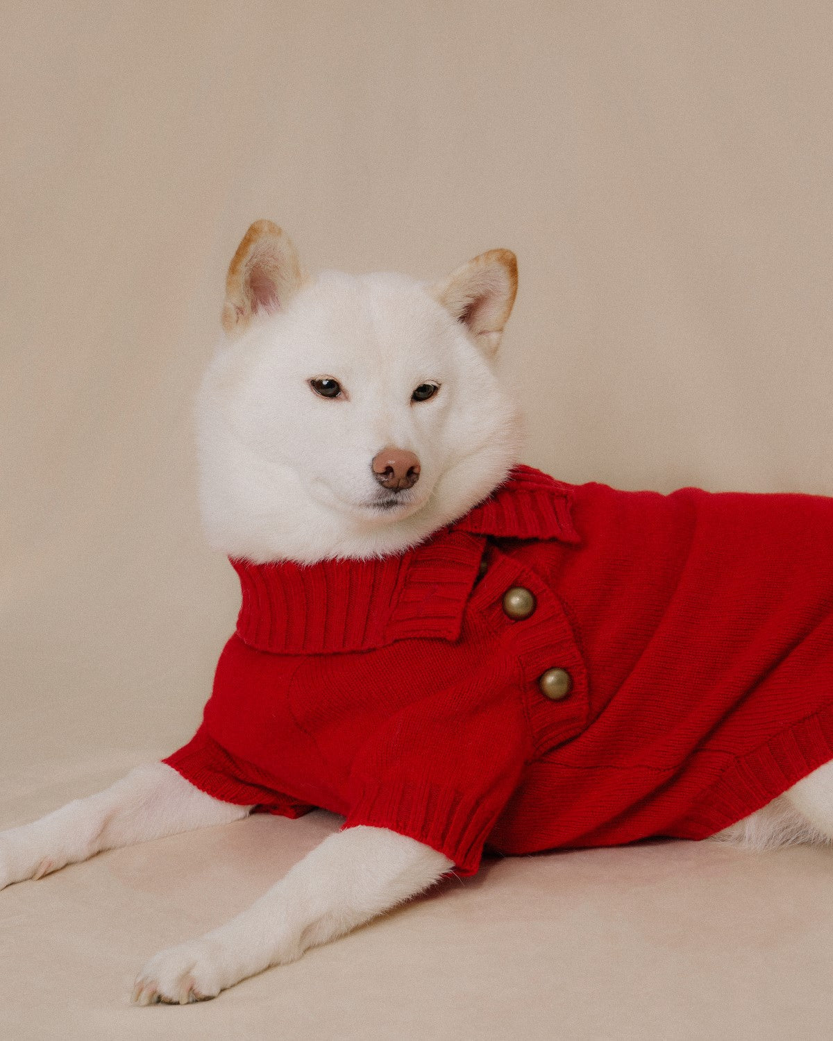 The Lutetia | Merino Wool Dog Sweater | Red