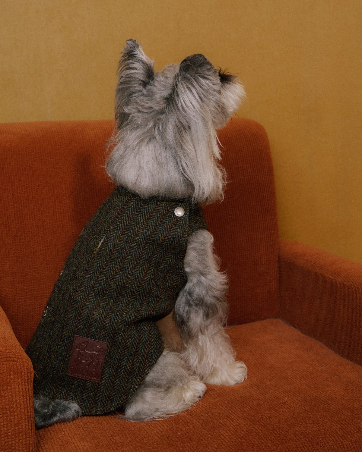 The Scotia | Wool Tweed Dog Vest | Herringbone