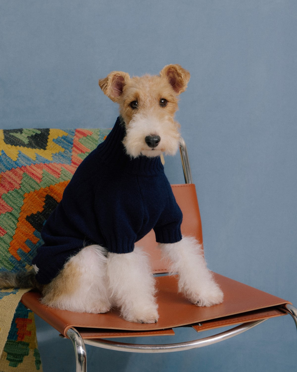The Lutetia | Merino Wool Dog Sweater | Navy Blue