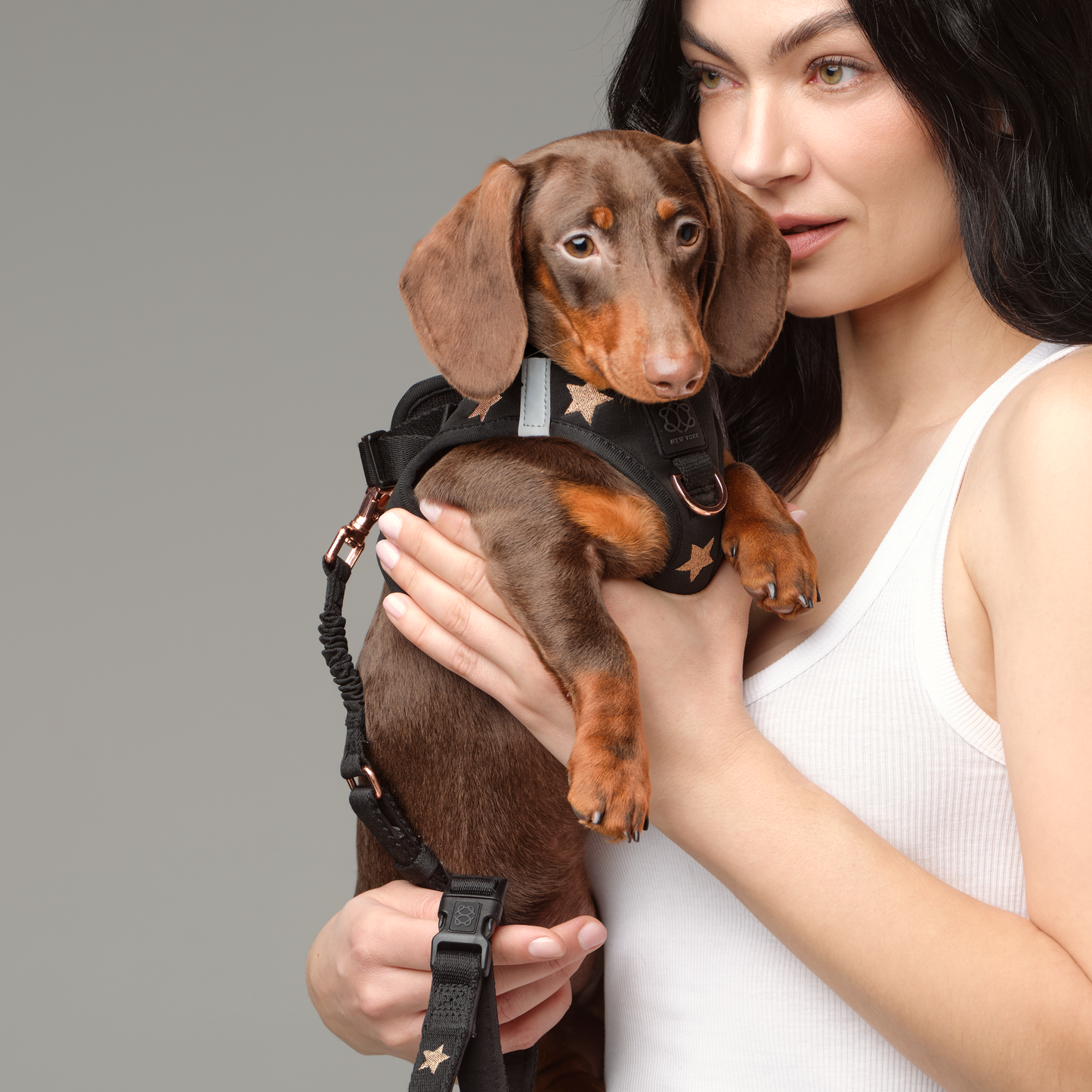 SoHo Dog Walking Set - Rockstar