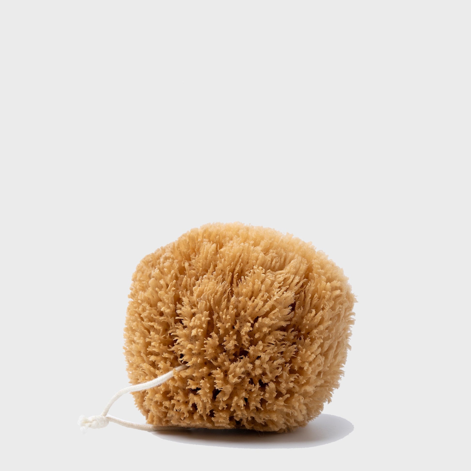 Exfoliating Grass Sea Sponge - Osadia Concept Store
