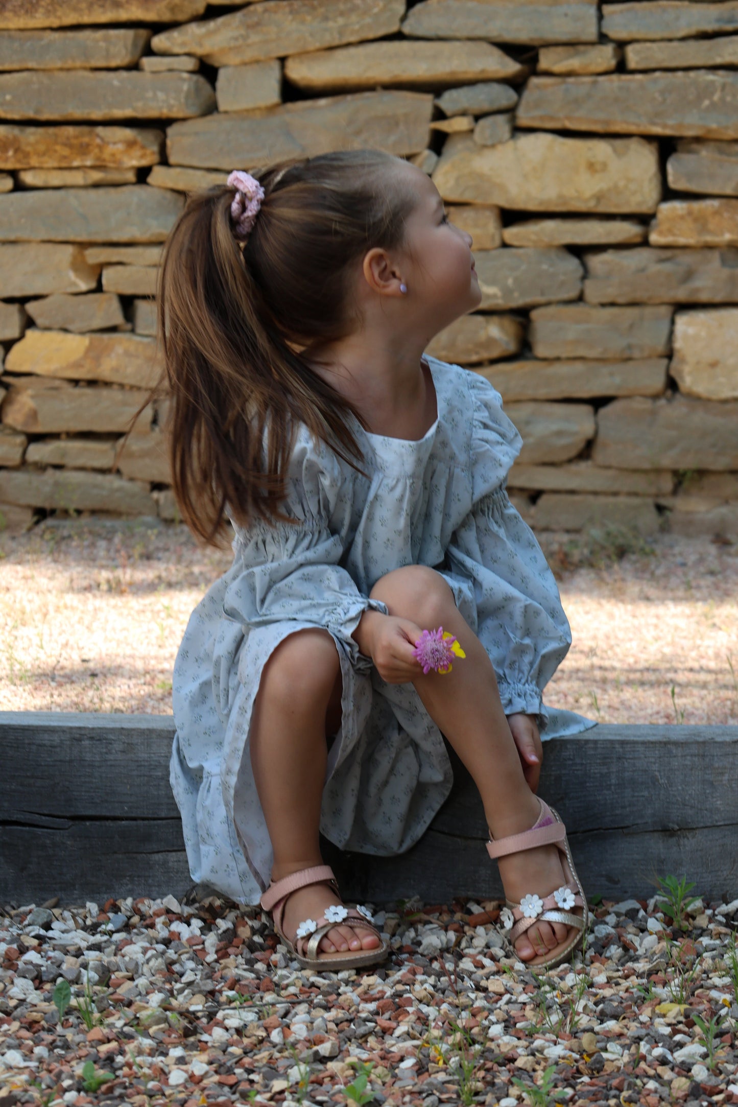 Fiona Dress-Fleur de Brume