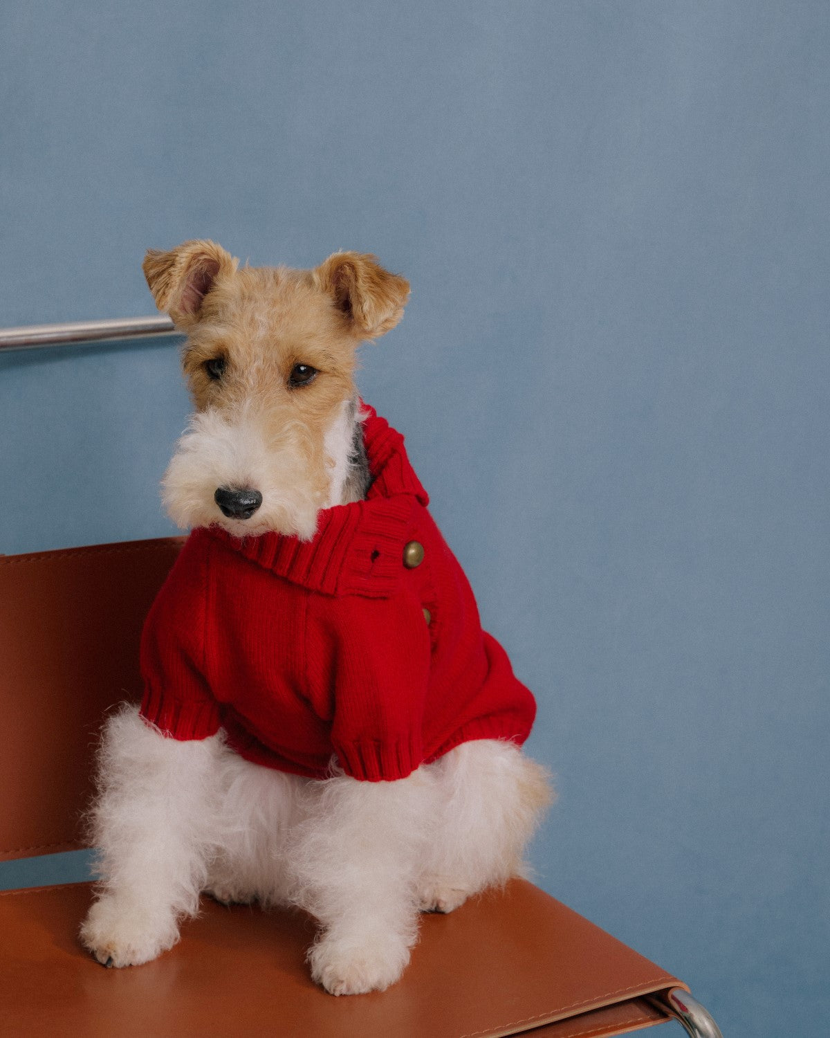 The Lutetia | Merino Wool Dog Sweater | Red