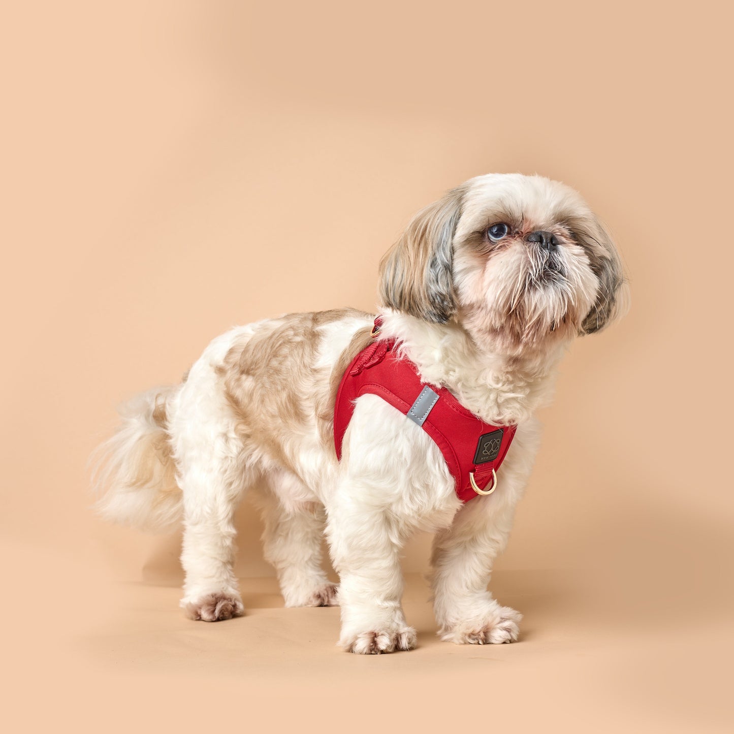 SoHo Dog Walking Set - Iconic Red