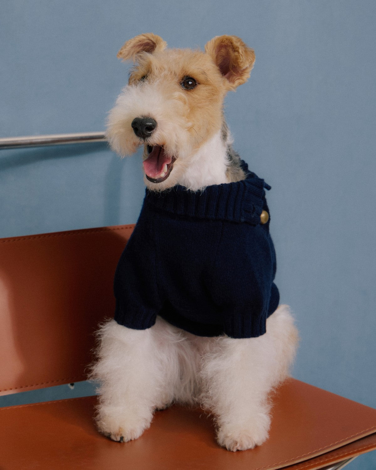 The Lutetia | Merino Wool Dog Sweater | Navy Blue