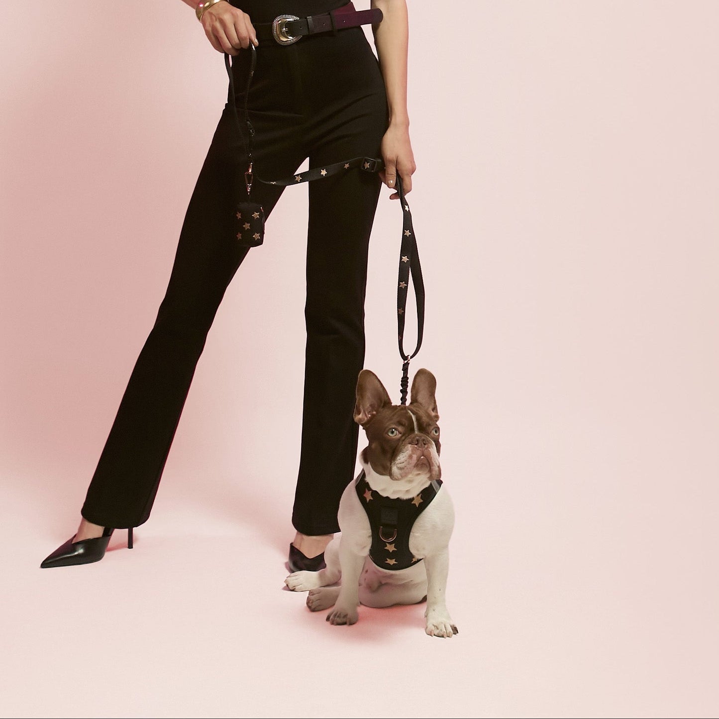 SoHo Dog Walking Set - Rockstar