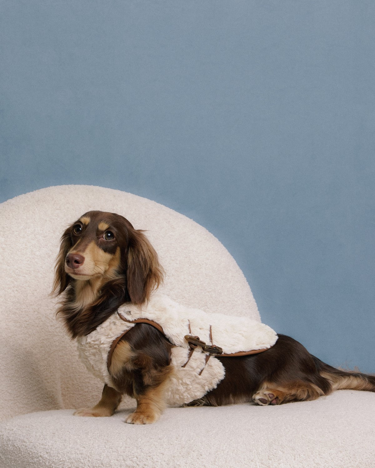 The Pastoris | Luxury Faux Fur Dog Coat | Apricot Caramel
