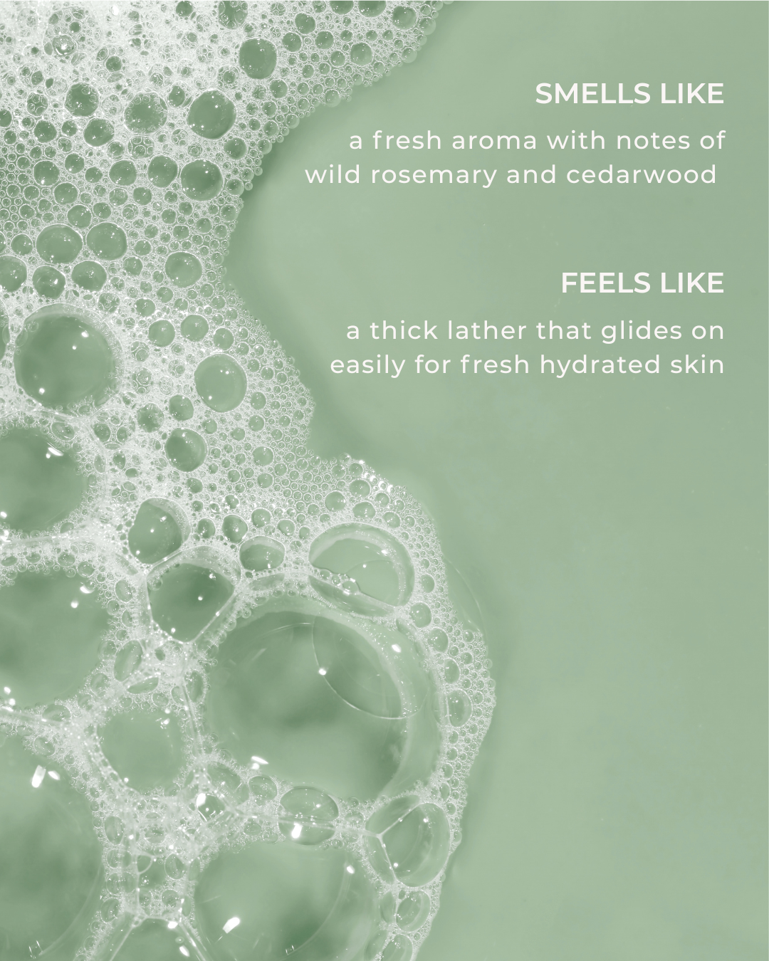 Hand & Body Wash