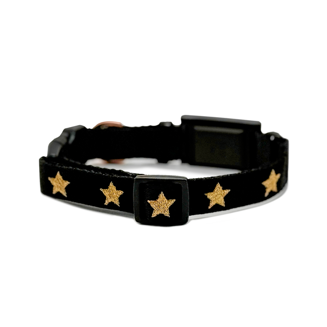 The DOGISTRY x Fi Rockstar 3+ Collar Band