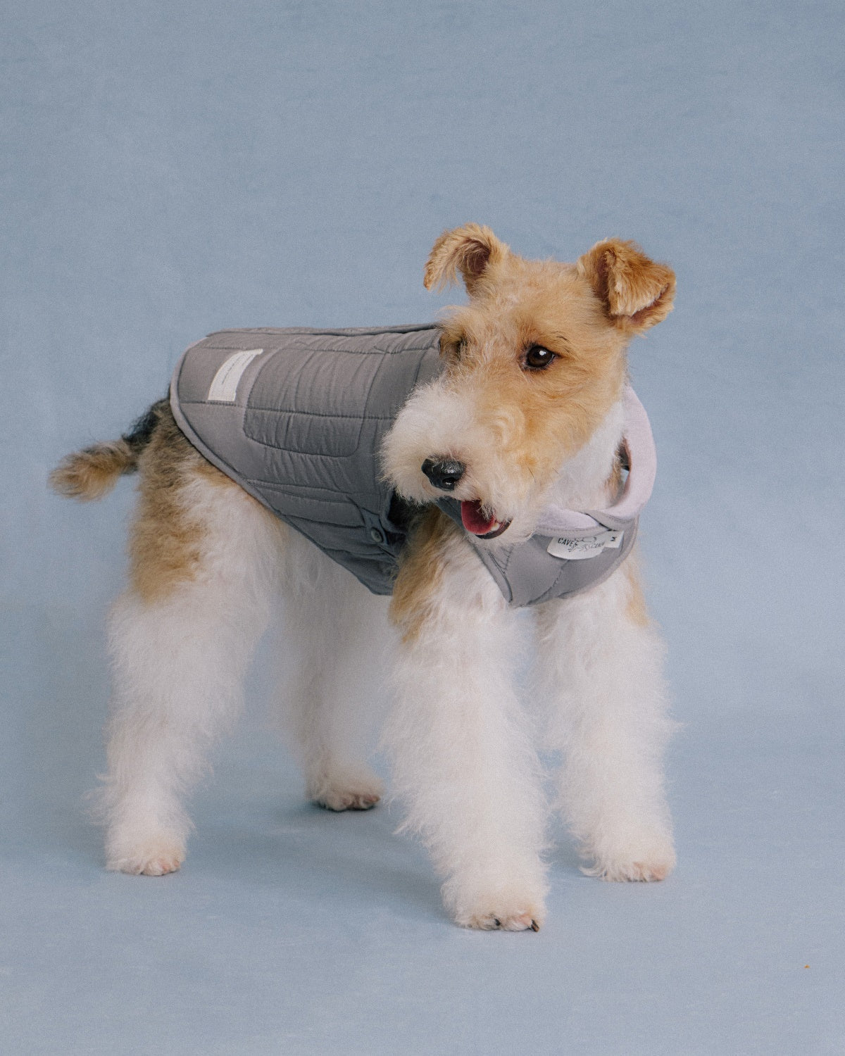 The Gemina | Reversible Quilted Dog Coat | Twilight Purple