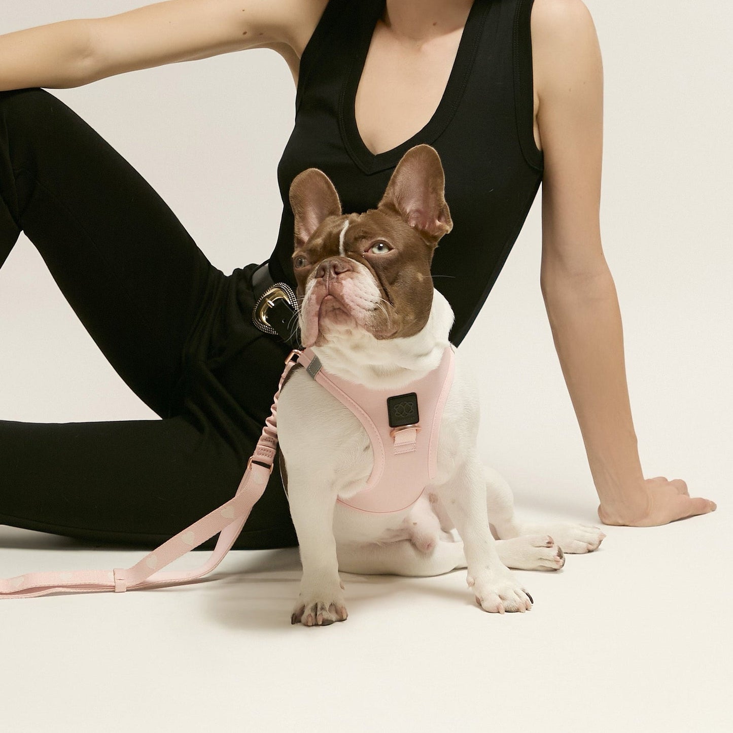 SoHo Dog Harness - Blush Pink