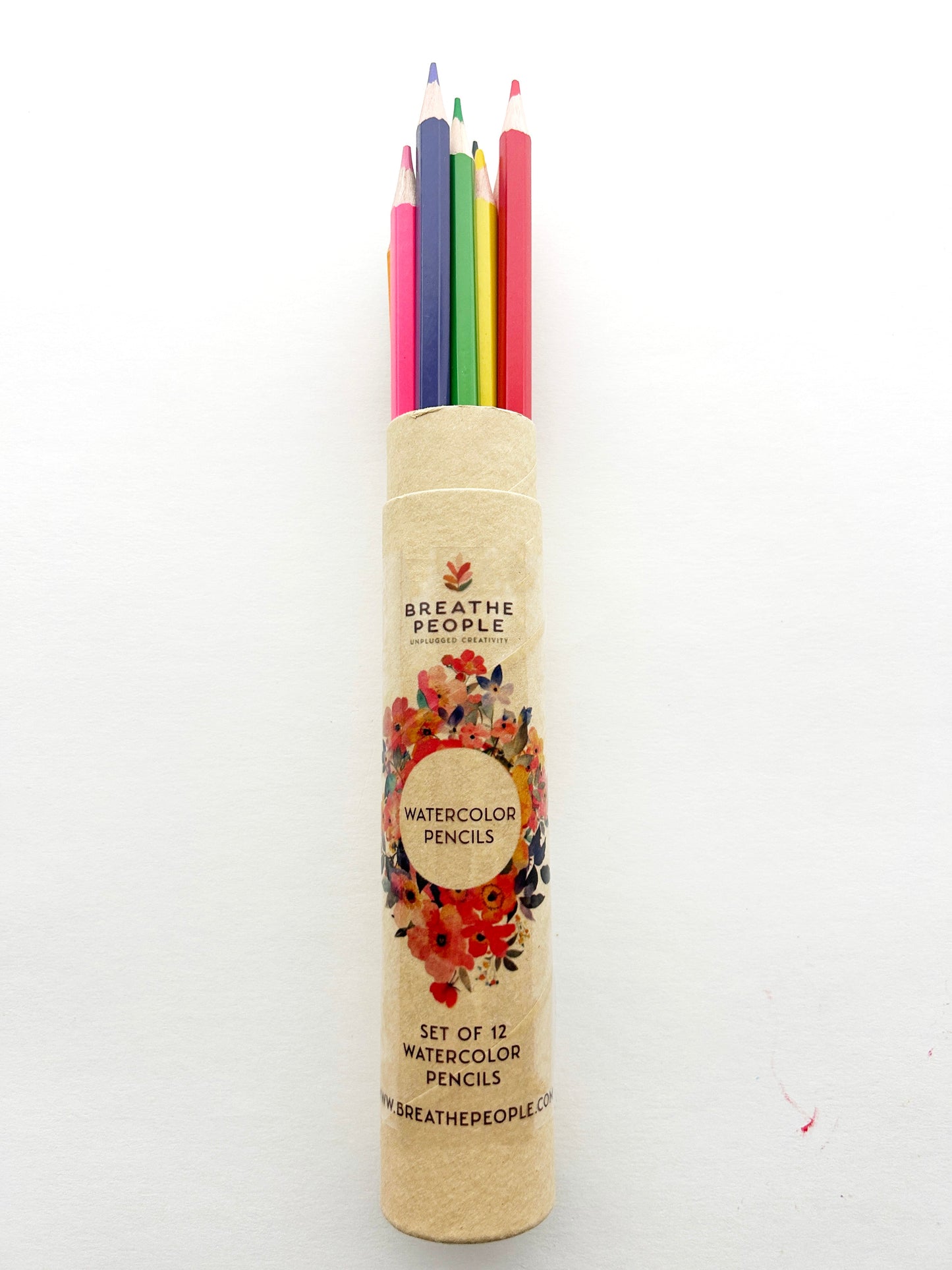 12-Color Watercolor Pencil Set for Beginner