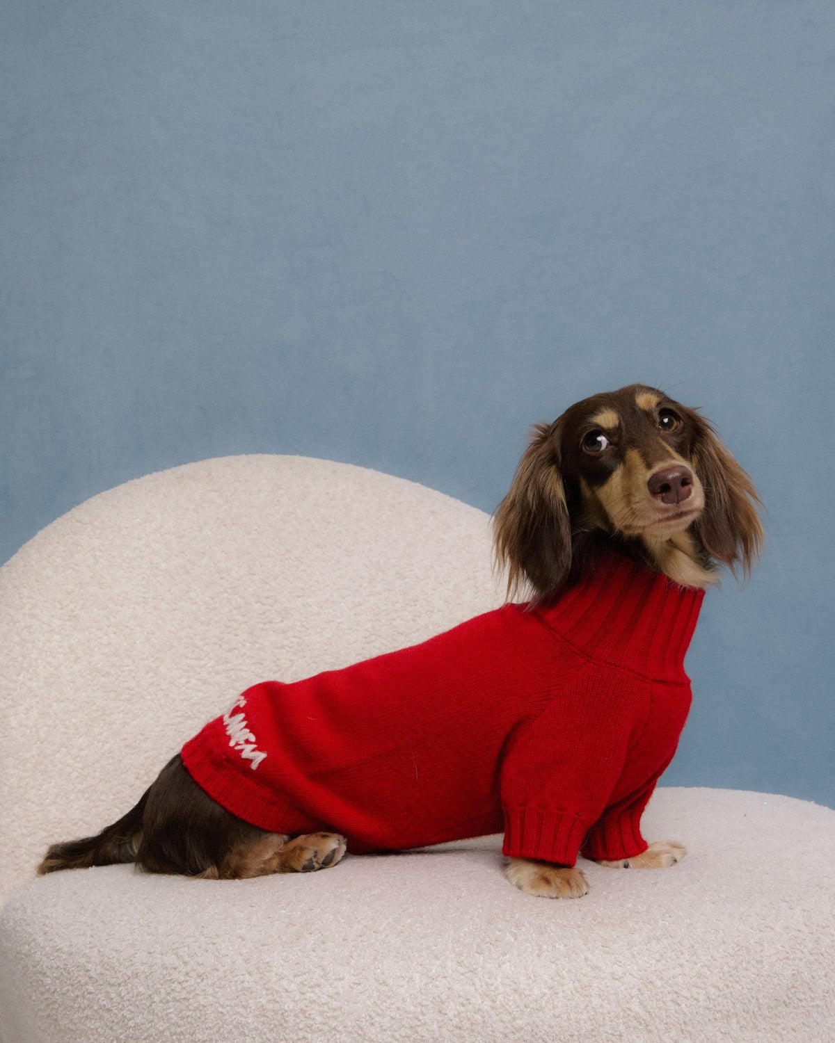 The Lutetia | Merino Wool Dog Sweater | Red