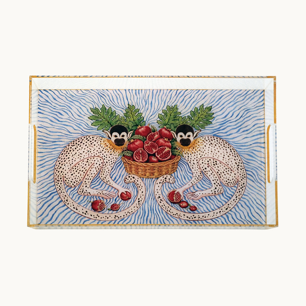 Acrylic Monkey Tray