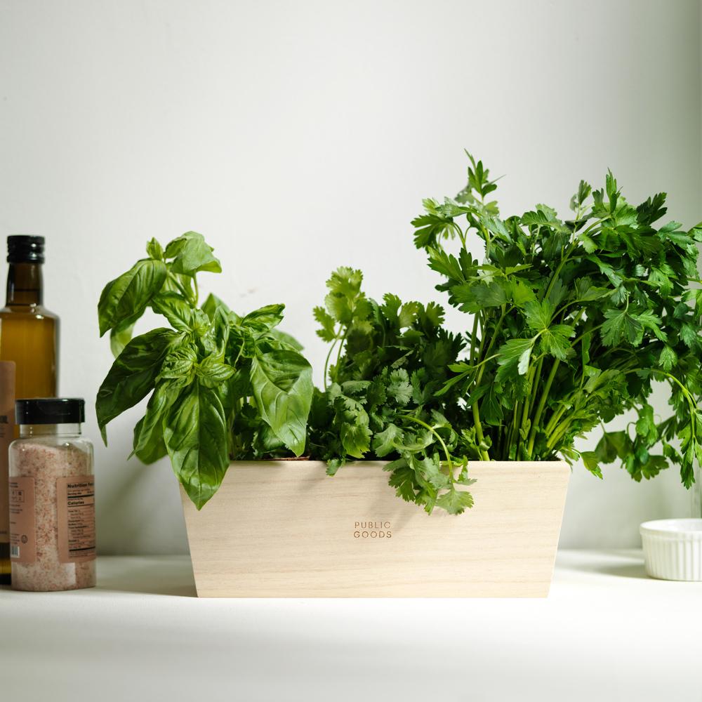 Indoor Herb Planter - Osadia Concept Store