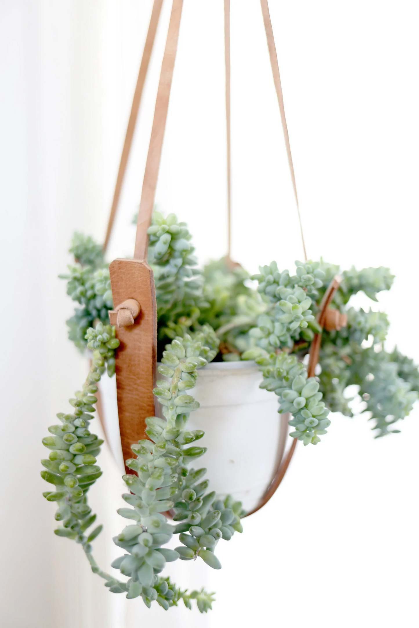 Small Flourish Plant Hanger