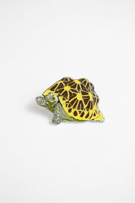 Indian Star Tortoise Enamel Pin (Geochelone elegans)