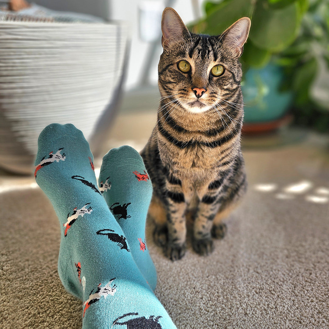 Socks that Save Cats - Osadia Concept Store