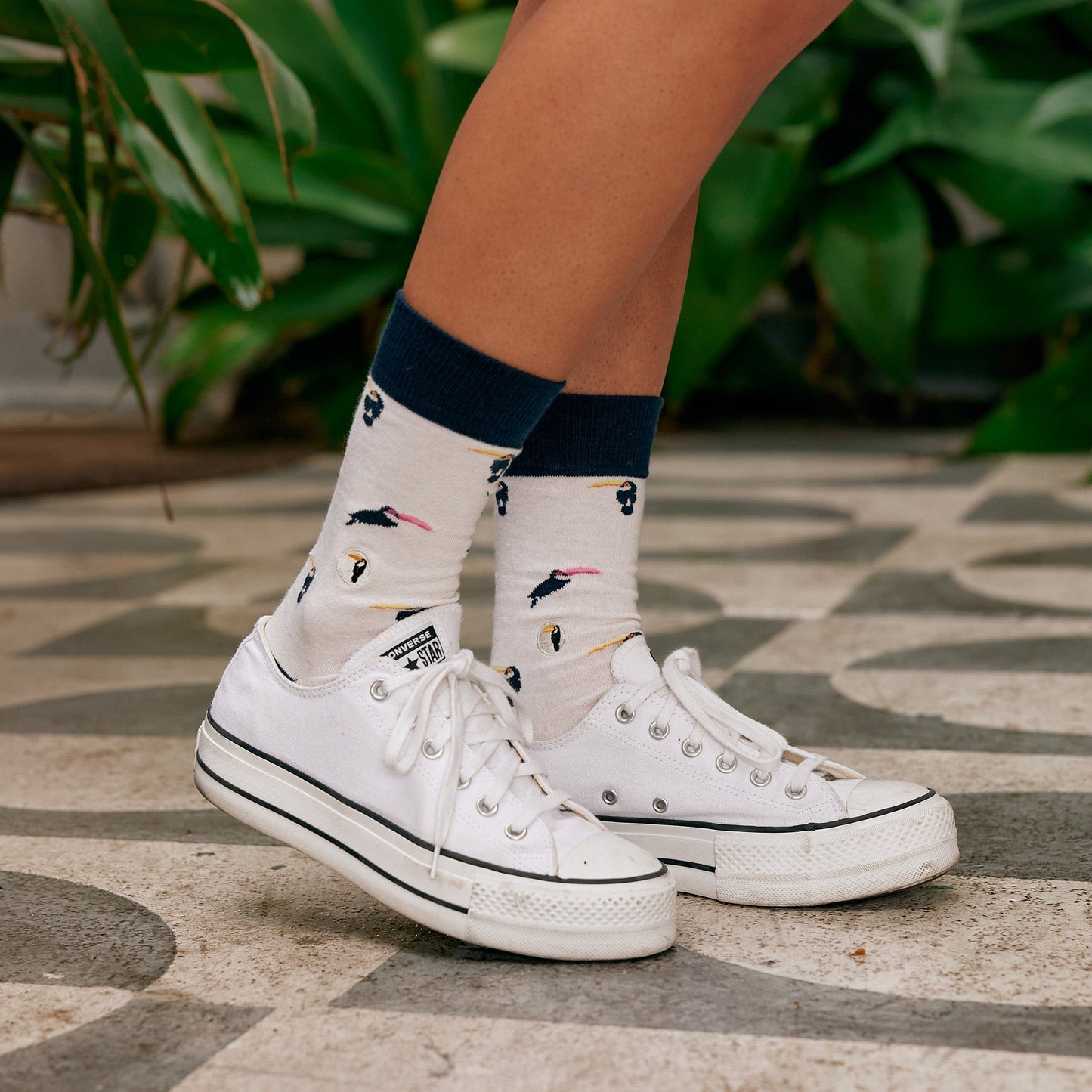 Socks that Protect Toucans