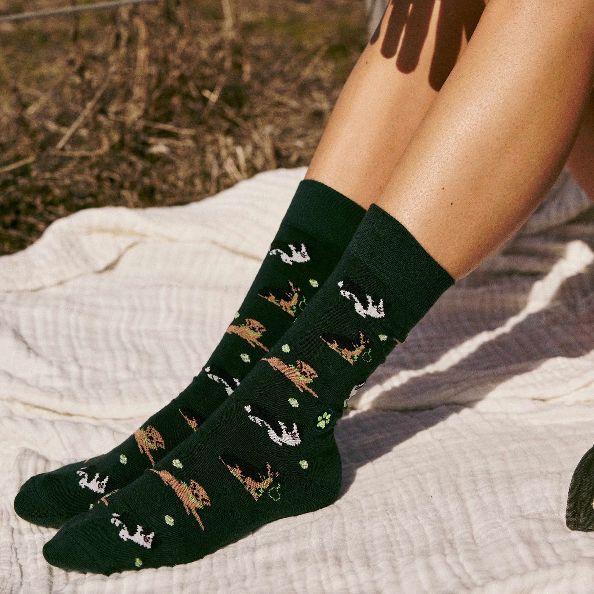 Socks that Save Dogs - Osadia Concept Store