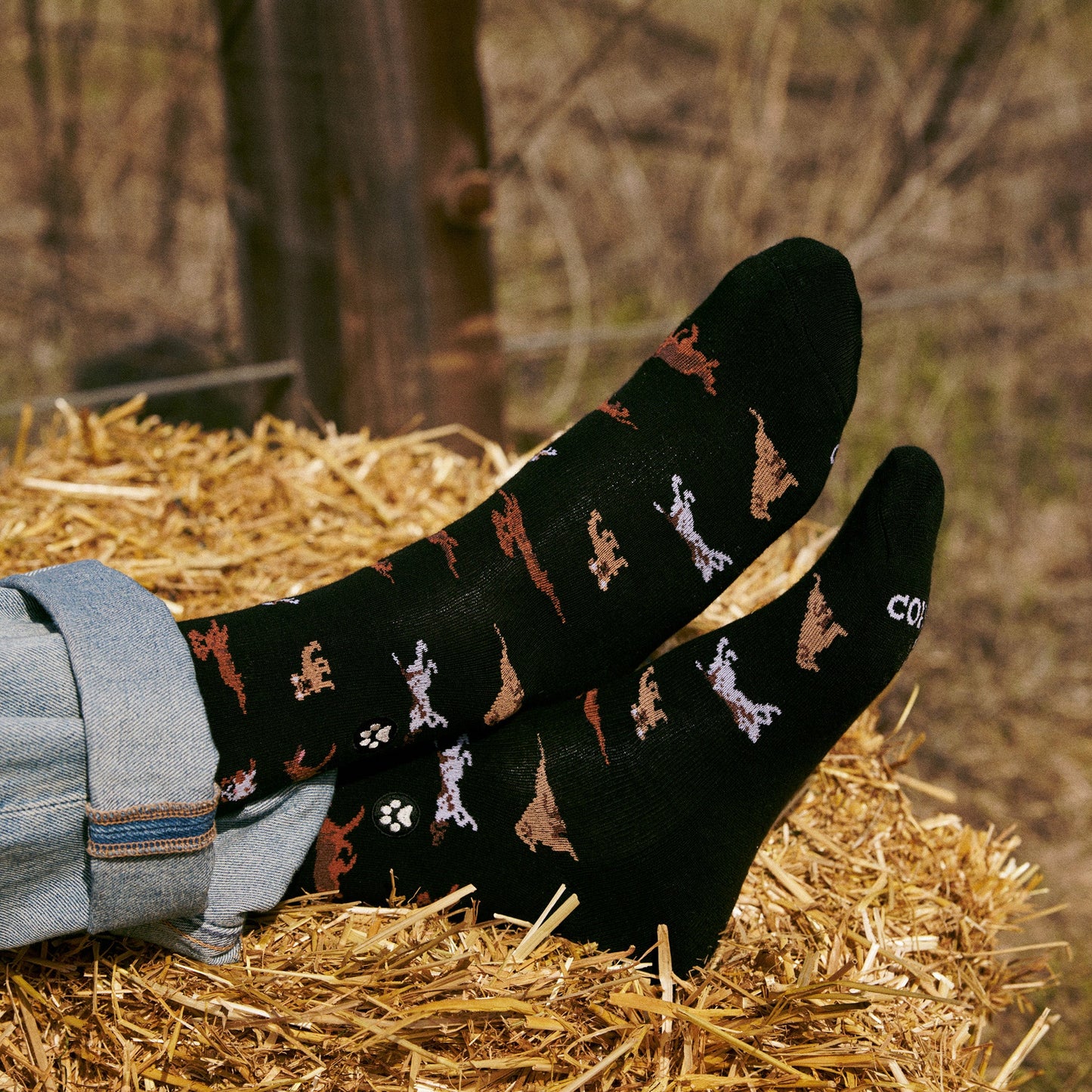 Socks that Save Dogs - Osadia Concept Store