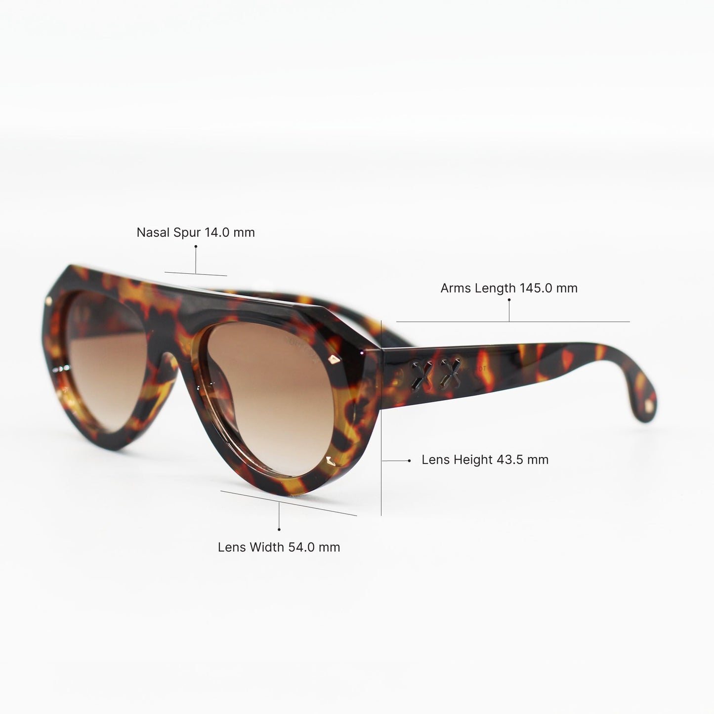 Vega - Brown Tortoise