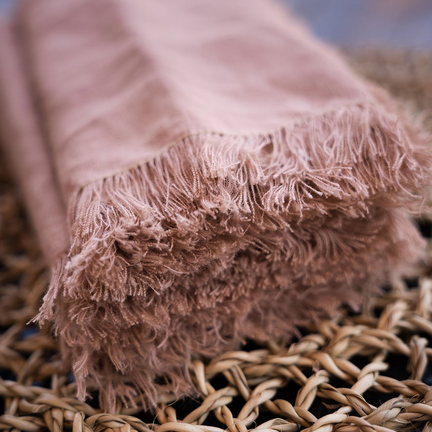 Fringe Linen Napkins (set of 2)
