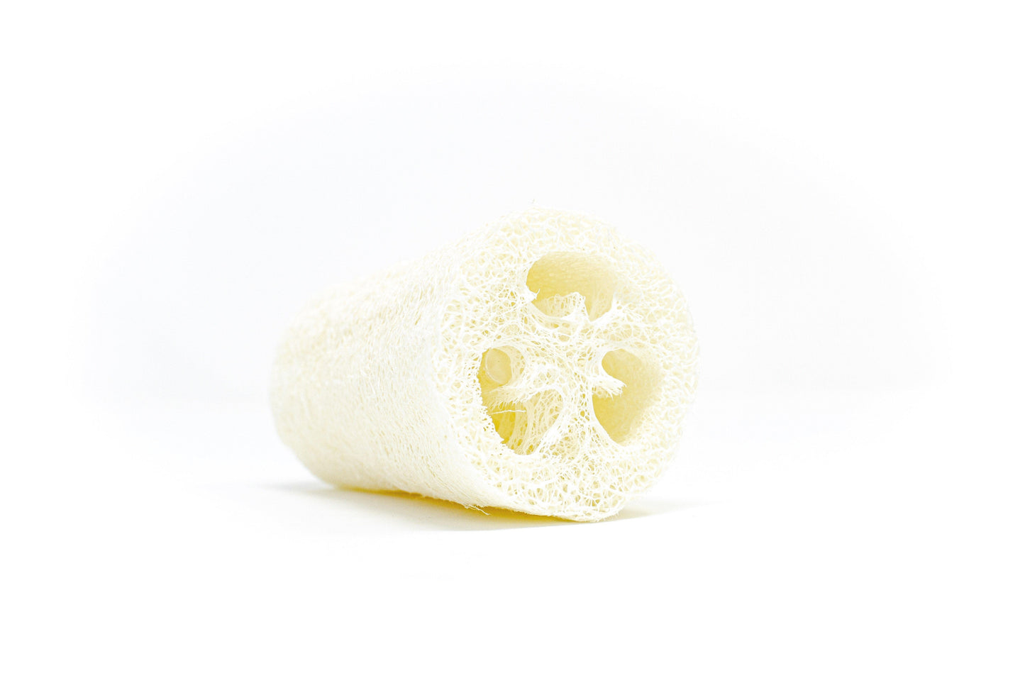 Natural Loofah Sponge