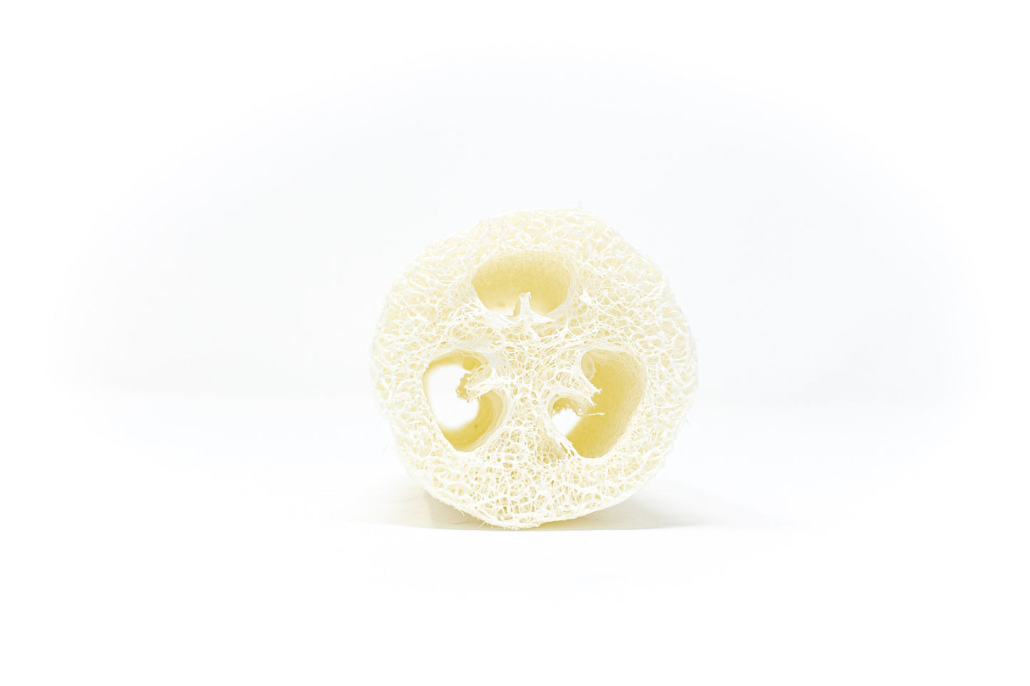 Natural Loofah Sponge