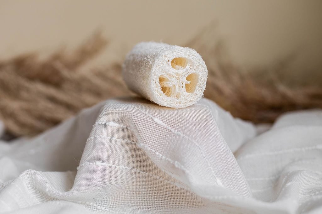 Natural Loofah Sponge