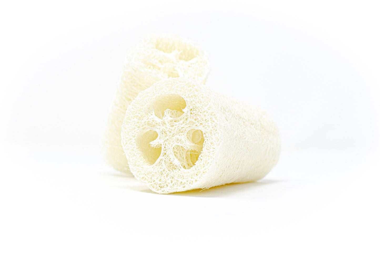 Natural Loofah Sponge
