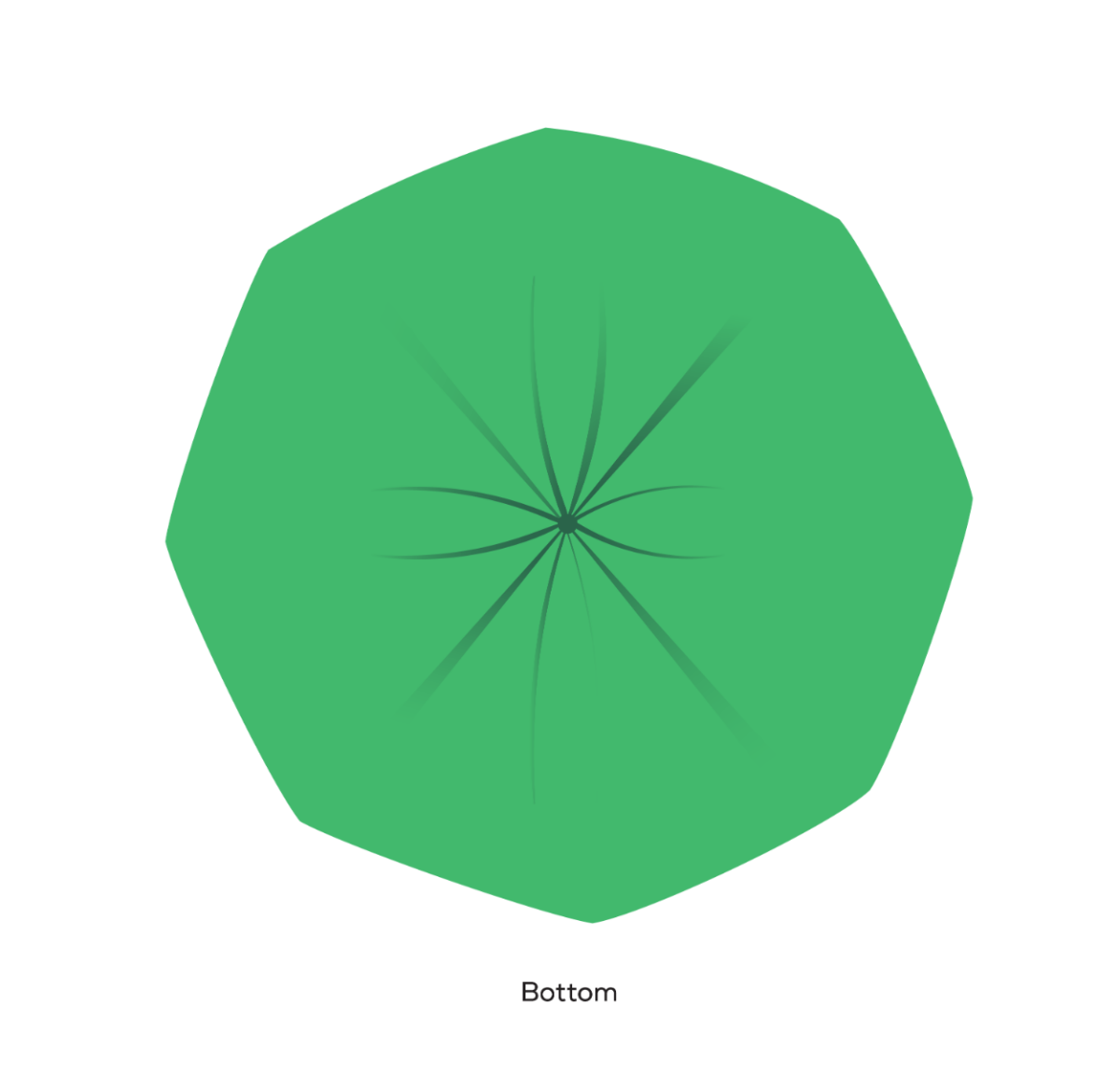 BioBag 39 Gallon Compostable Trash Liners, 35 × 43 in, 0.88 mil, Green (QTY 120), SKU 39G3543