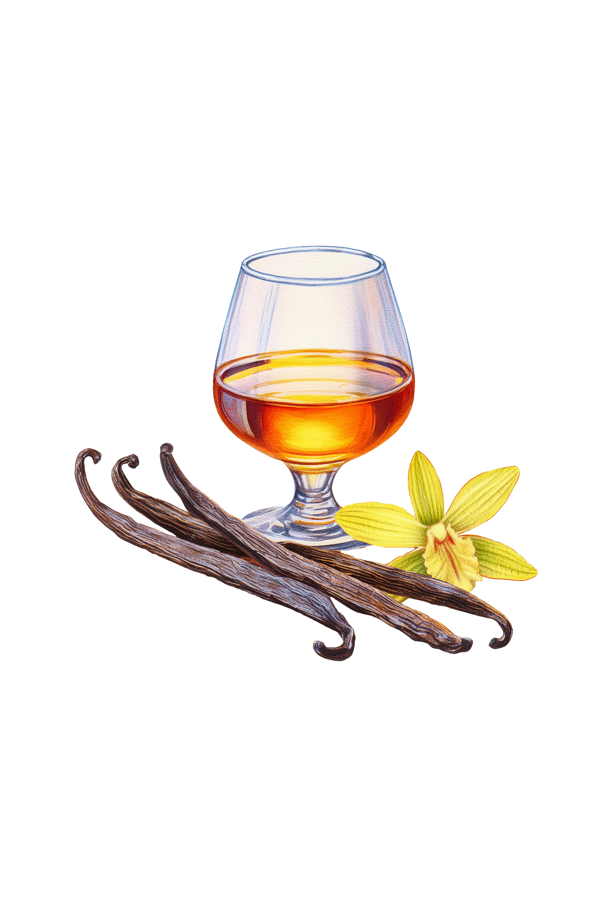 Vanilla Bourbon Phthalate-Free Fragrance Oil