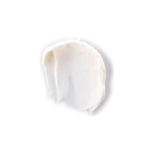 Philip B. Weightless Volumizing All Hair Types Masque 8 oz